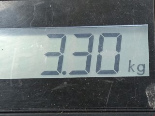 Стартер, ориг. номер Y60118400C, Y60118400A, Mazda 3 1999-2005
