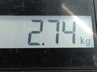 Блок ABS, ориг. номер 0265216732, 7701052726, Renault Scenic 1999-2003