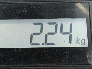Пружина задняя, ориг. номер 5102G4, Citroen C3 2002-2006