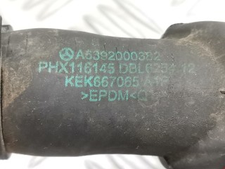 Патрубок радиатора, ориг. номер A6392000382, Smart Forfour 2004-2006