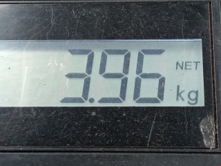 Пружина задняя, ориг. номер 93178630, Opel Astra 1998-2009