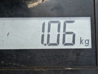 Защита двигателя, ориг. номер 1K0825237J, Volkswagen Golf 2008-2012