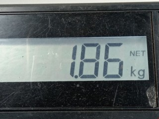 Пружина задняя, ориг. номер 1K0511115BC, Volkswagen Golf 2008-2012