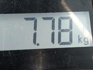 Суппорт передний левый, ориг. номер 7H0615123C, Volkswagen Transporter 2009-2015