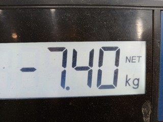 Стойка передняя левая, ориг. номер 1672821, 6N4118K001PBC, Ford Focus 2004-2008
