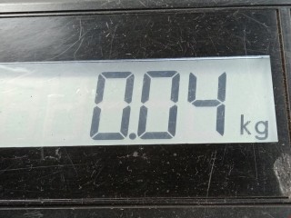 Подсветка номера, ориг. номер 71742466, Fiat Sedici 2005-2009