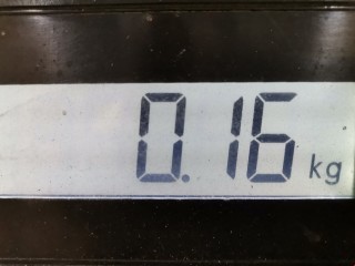 Катушка зажигания, ориг. номер 22448AX001, AIC6207H, Nissan Micra 2003-2005
