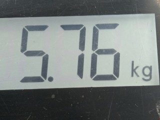 Суппорт передний правый, ориг. номер 4773005060, Toyota Avensis 2003-2006