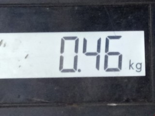 Защита арок передняя правая (подкрылок), ориг. номер 96562645, Daewoo Matiz 2000-2015