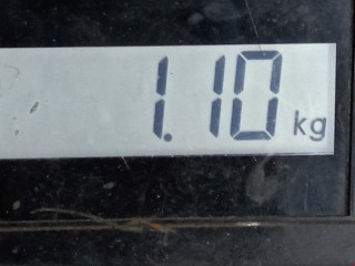 Защита арок передняя левая (подкрылок), ориг. номер 4M5116115AB, 1359240, Ford Focus 2007-2011