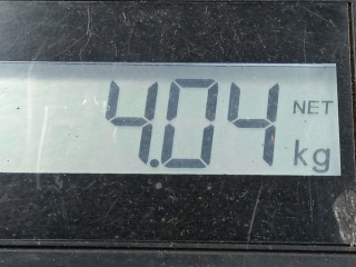 Пружина задняя, ориг. номер 93178630, Opel Astra 1998-2009