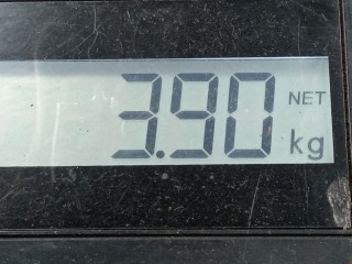 Пружина задняя, ориг. номер 93182064, Opel Astra 1998-2009