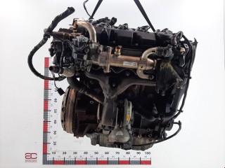 Двигатель, ориг. номер D4204T, 1343078, Ford Focus 2004-2008