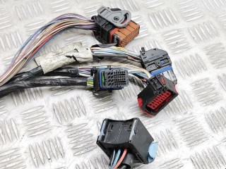 Проводка, Citroen Picasso 2006-2013