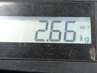 Стартер, ориг. номер 55556092, 55576980, Opel Astra 1998-2009