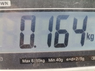 Шлейф руля, ориг. номер 4M5T14A664AB, 1763646, Ford Focus 2004-2008