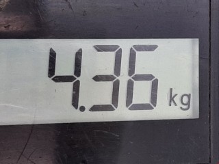 Стабилизатор подвески (поперечной устойчивости), ориг. номер 13208044, Opel Astra 1998-2009