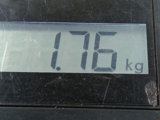 Подушка крепления двигателя, ориг. номер 1K0199555M, Volkswagen Golf 2008-2012