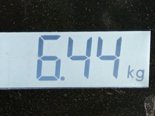 Компрессор кондиционера, ориг. номер XS4H19D629AD, Ford Focus 1998-2001