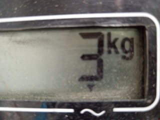 Крыло переднее левое, ориг. номер 93172024, Opel Signum 2003-2005