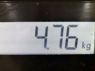 ТНВД, ориг. номер 0445010045, 13518511824, BMW 3 E46 1997-2003