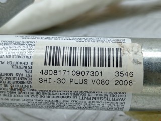 Подушка безопасности боковая (шторка), ориг. номер 85701101407, 30319166D, BMW 7 E65/E66 2005-2008