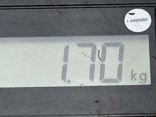 Декоративная крышка двигателя, ориг. номер 25185145, Chevrolet Orlando 2010-2018