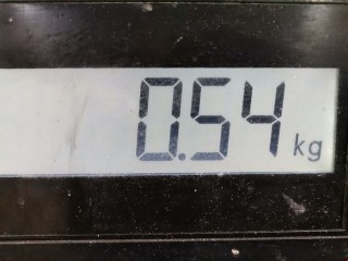 Кронштейн двигателя, ориг. номер 11231AX600, Nissan Micra 2003-2005