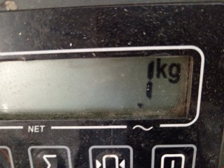 Обшивка двери задней правой (дверная карта), ориг. номер 6Y6867212H, 6Y6867210, Skoda Fabia 1999-2004