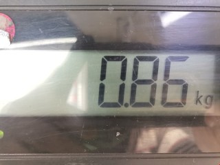 Моторчик заднего стеклоочистителя (дворника), ориг. номер 3M51R17K441AB, Ford C-Max 2003-2007
