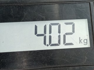 Компрессор кондиционера, ориг. номер 1535408, Ford Ka 2008-2016