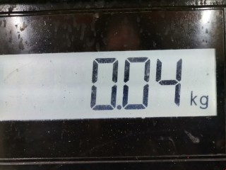 Датчик коленвала, ориг. номер 0031532828, A0031532828, Mercedes A W168 2001-2004