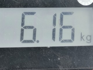 Ступица задняя правая, ориг. номер 7701208059, Renault Megane 1999-2003