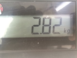 Стеклоподъемник передний правый, ориг. номер A1407203046, 130821503, Mercedes S W140 1991-1993