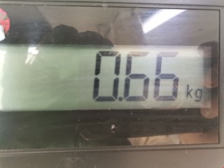 Замок двери задней левой, ориг. номер 2027330108, A2027300535, Mercedes E W210 1999-2002