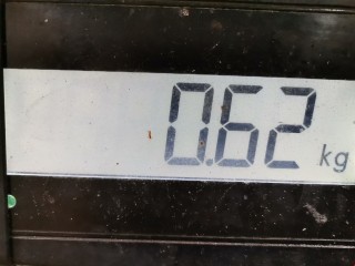 Натяжитель ремня генератора, ориг. номер 8200357406, 7701476645, Renault Espace 2006-2012