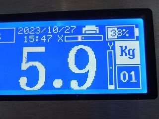 Потолок, ориг. номер 51448259687, 8259687, BMW X5 E53 1999-2003