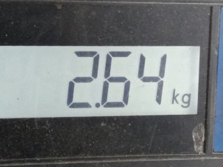 Стартер, ориг. номер 55556092, 55576980, Opel Astra 1998-2009