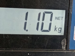 Кожух защитный тормозного диска, ориг. номер 4209A9, Peugeot 307 2005-2008