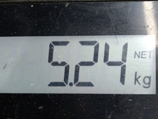 Суппорт передний правый, ориг. номер 13301190, Opel Astra 2006-2014