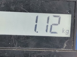 Уплотнитель, ориг. номер 3C9867913C, Volkswagen Passat 2011-2015