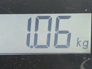Катушка зажигания, ориг. номер 032905106B, 032905106F, Skoda Octavia 1996-2000