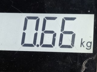 Блок управления двигателем, ориг. номер 55556261, 0281011817, Opel Vectra 2005-2008