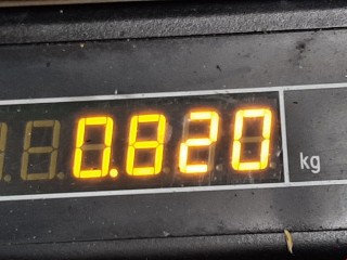 Натяжитель ремня генератора, ориг. номер 55563512, Opel Astra 2006-2014
