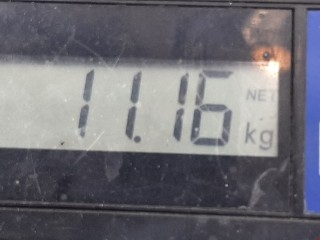 Усилитель бампера переднего, ориг. номер 7414FN, Peugeot 407 2004-2008