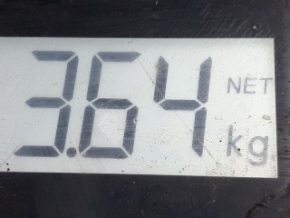Рычаг задний правый, ориг. номер 4E0511512F, 034-28921, Audi A8 2002-2005