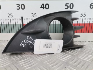 Заглушка (решетка) в бампер Renault Scenic 2006-2009, минивэн, 1013579
