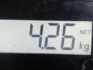 Поддон, ориг. номер 55567087, 55568530, Opel Insignia 2008-2013