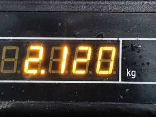 Амортизатор задний правый, ориг. номер 1362548080, Peugeot Boxer 2006-2014