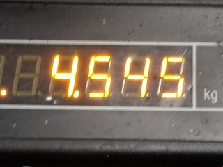 Поддон, ориг. номер 55194355, 55205667, Opel Astra 1998-2009